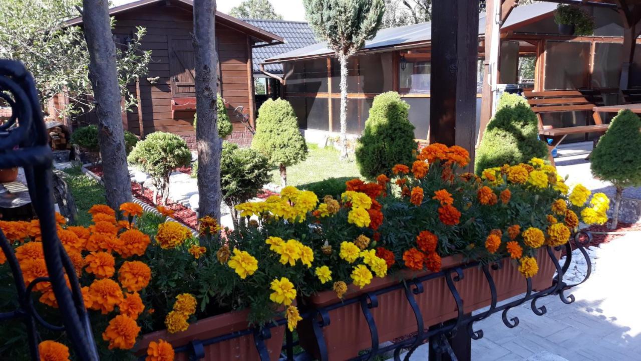 Casa Alberta Ocna Şugatag Exteriör bild