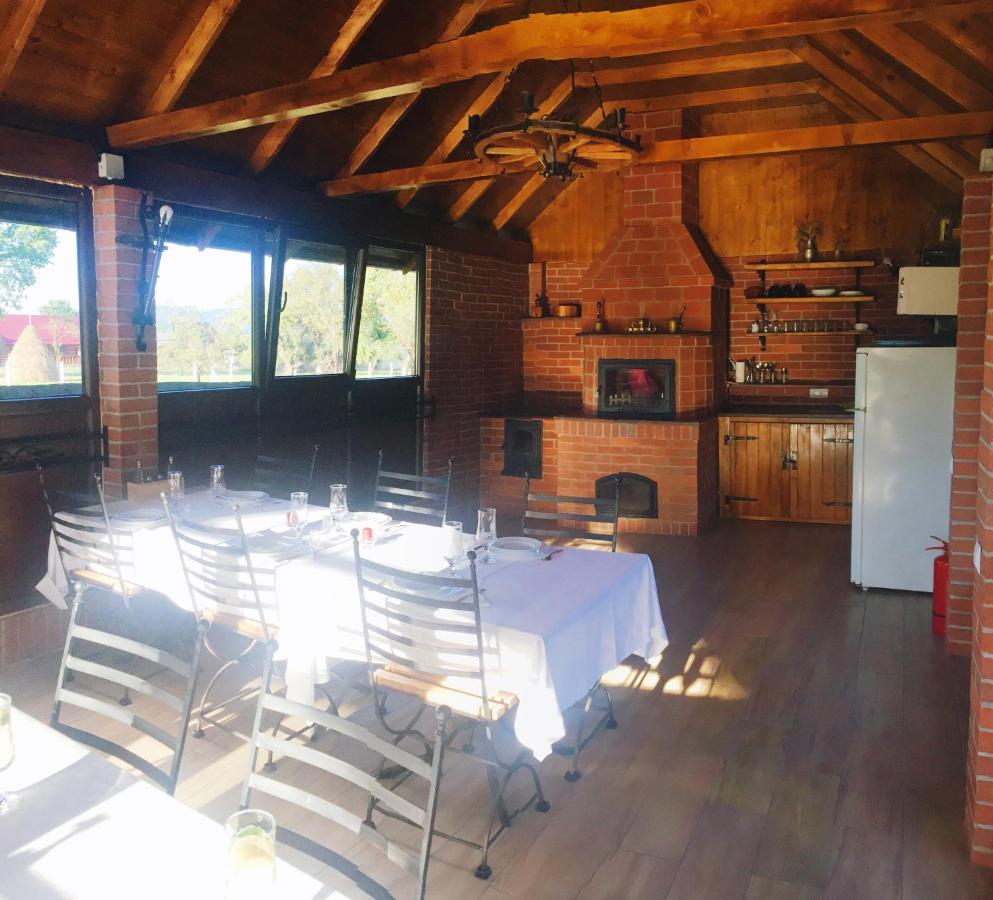 Casa Alberta Ocna Şugatag Exteriör bild